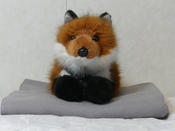 Unnamed 23 (Red Fox, Douglas)